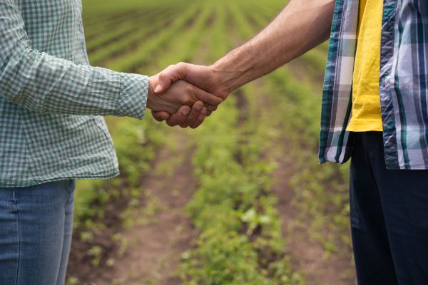 Poignée de main dans un champ